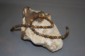 6mm Round Petrified Wood Temporary Strung Beads